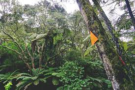 Matata Scenic Reserve